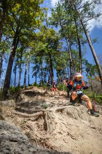 BIB: 
                            <button type="button" onclick="openModal(15932317)" class="btn btn-primary btn-sm float-right btn-popup" data-toggle="modal" data-target=".modal-high-quality">
                        <i class="fas fa-shopping-cart"></i> Add to Cart
                    </button>
                                            <button type="button" onclick="isThisMe(15932317, true)" class="btn btn-success btn-sm float-right btn-popup btn-isme hidden" data-toggle="tooltip" data-placement="bottom" title="นี่คือรูปของคุณใช่ไหม คลิกที่นี่เพื่อเอาเข้าอัลบั้ม">
                        <i class="fas fa-plus"></i> Add to album
                    </button>
                    <button type="button" onclick="isThisMe(15932317, false)" class="btn btn-warning btn-sm float-right btn-popup btn-isnotme hidden">
                        <i class="fas fa-ban"></i> Remove from album
                    </button>